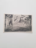 AK Lurgrotte bei Semriach. Tartarus-Grotte. Selchstube. (1921)