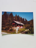 AK Alpl. Peter Rosegger's Waldheimat. Waldschule.