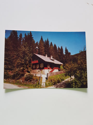 AK Alpl. Peter Rosegger's Waldheimat. Waldschule.