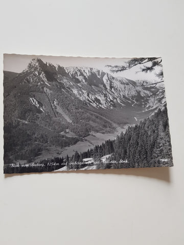 AK Blick vom Seeberg auf Seebergstraße und Dullwitz. (1962)