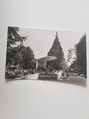 AK Bad Gleichenberg. Musik-Terrasse mit Wellingtonia. (1957)