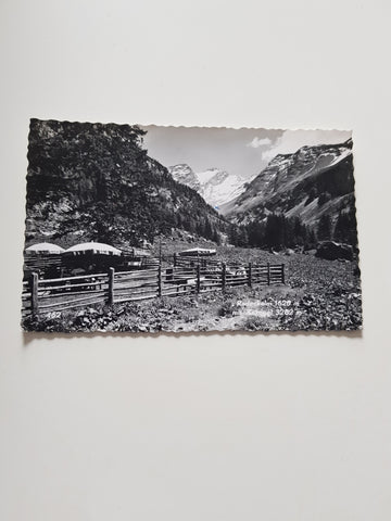 AK Radeckalm mit Ankogel.