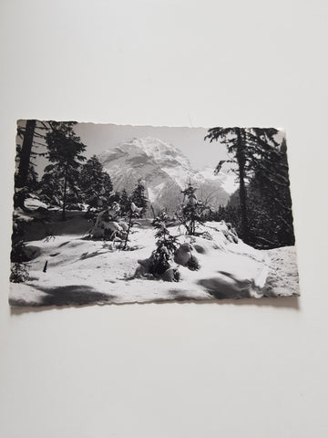 AK 1 1/4 St. vom Grünen Baum durchs wildromantische Kötschachtal zum Alpenhaus Prossau.
