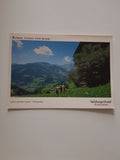AK Leben auf dem Lande - Dorfgastein.