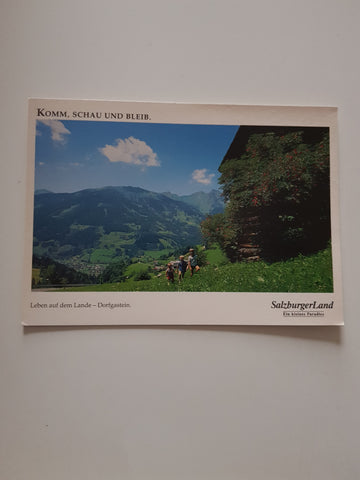 AK Leben auf dem Lande - Dorfgastein.