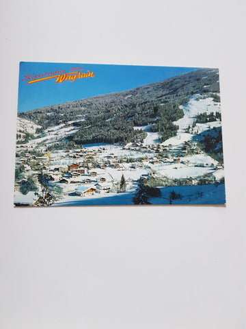 AK Wagrain-Kirchboden.