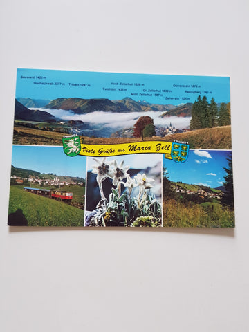 AK Viele Grüße aus Maria Zell.