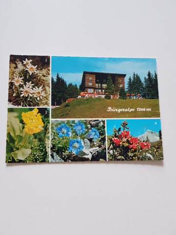 AK Bürgeralpe bei Mariazell.