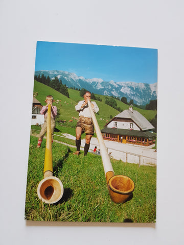 AK Falkenstein-Alm mit Schneealmmassiv. Neuberg a.d. Mürz.