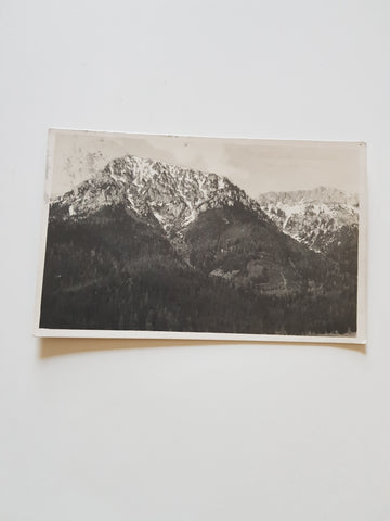 AK Neuberg an der Mürz m. Rauchenstein. (1927)