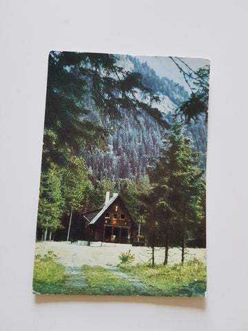 AK Jagdhaus Steinalpl. Post Frein bei Mürzsteg.