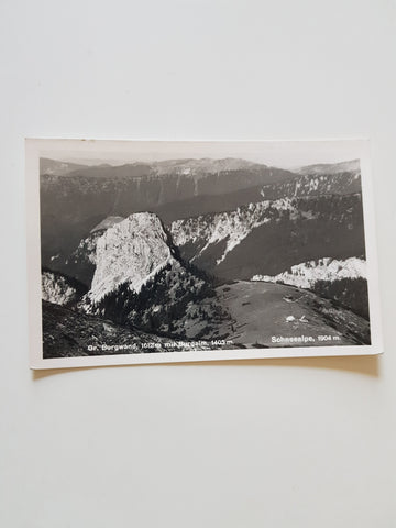 AK Gr. Burgwand mit Burgalm. Schneealpe. (1956)