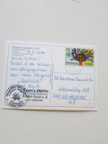 AK Schigebiet Stuhleck. Friedrichshütte. Filzwieser's Berggasthaus KEG. Stuhleck 2.