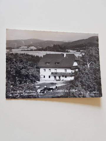 AK Mürzzuschlag. Alpengasthof Steinbauer (Rupert Rinnhofer) gege. Stuhleck und Pretul (1966)