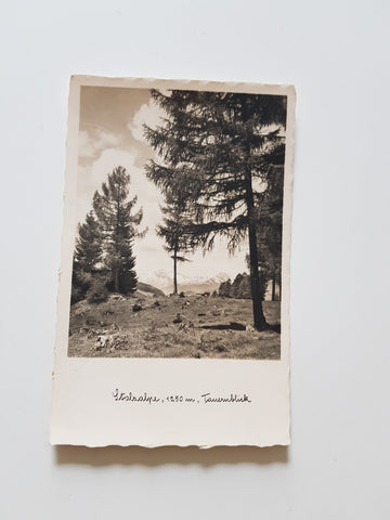 AK Stolzalpe, Tauernblick. (1942)