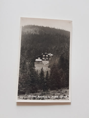 AK Hallerhaus am Wechsel.