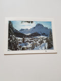 AK Lech mit Omeshorn.