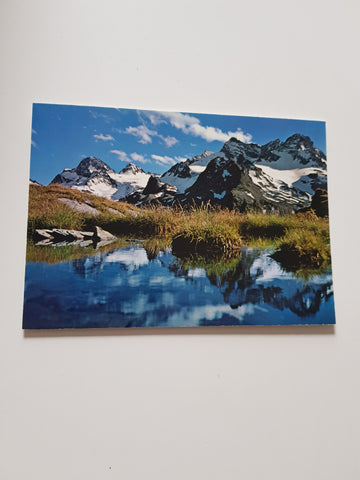AK Silvretta. Gr. Piz Buin. Kl. Buin....