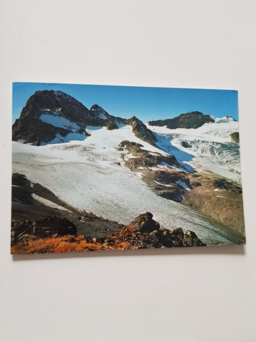 AK Großer Buin. Fuorcla del Confin. Signalhorn. Silvrettahorn.