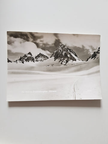 AK Piz Buin m. Dreiländerspitze - Silvretta.