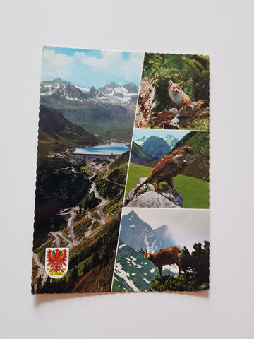 AK Silvretta Hochalpenstraße mit Litzner und Seehorn.