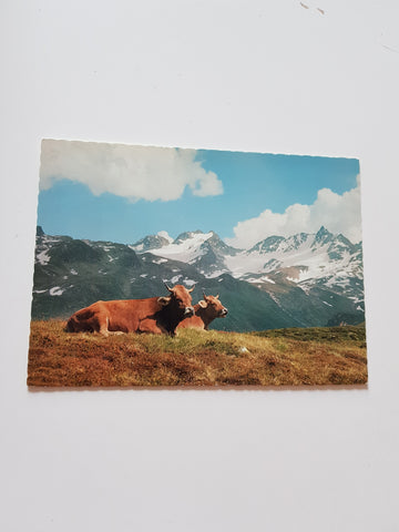AK Auf der Hochalm (Bieler Höhe)