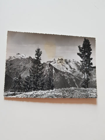 AK Kapell-Alpe gegen Sulzfluh 3 Türme.
