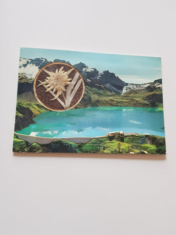 AK Lünersee. (Edelweiss)