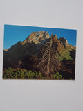 AK Rote Wand im Lechquellengebirge, NW-Flanke vom Großwalsertal.