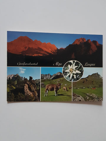 AK Großwalsertal Alpe Laguz.