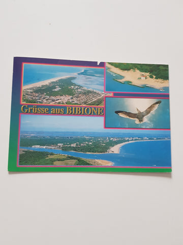 AK Grüsse aus Bibione.