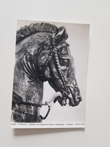 AK Padova Dettaglio del Condottiero Erasmo Gattamelata Donatello.