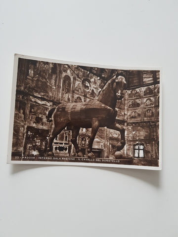 AK Padova - Interno Sala Ragione Il Cavallo del Donatello.