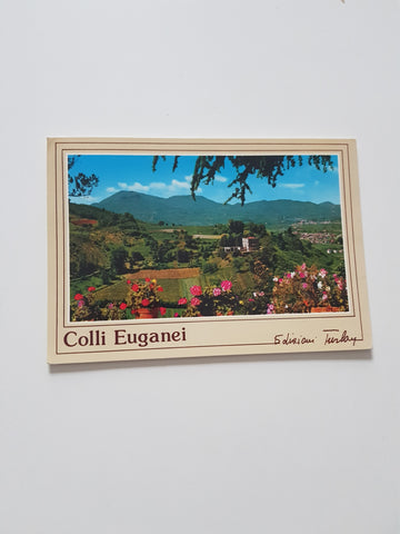 AK Montegrotto Terme. Colli Euganei. Panorama con Villa Draghi.