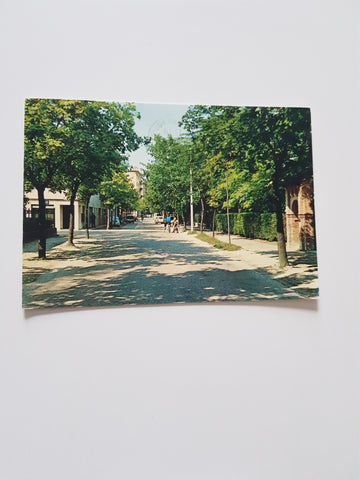 AK Treviso. Viale Giuseppe Verdi.