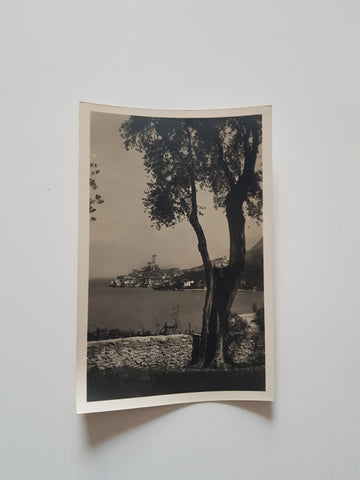 AK Malcesine. Lago di Garda.