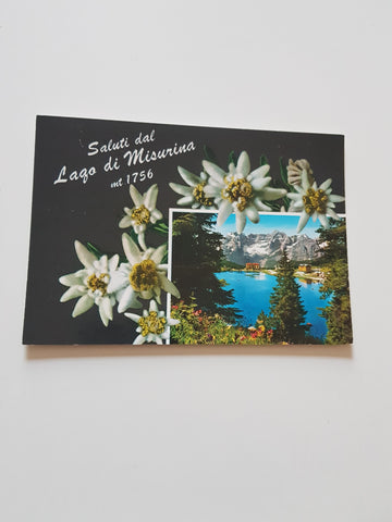 AK Saluti dal Lago di Misurina.