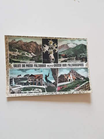 AK Saluti da Passo Falzarego.