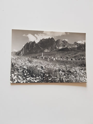 AK Cortina. Pomagagnon.