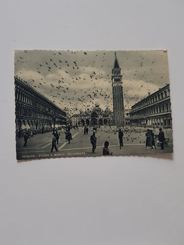 AK Venezia. Piazza S. Marco - Piccionata.