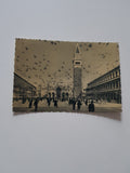 AK Venezia. Piazza S. Marco I Piccioni.