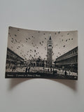 AK Venezia - I piccioni in Piazza S. Marco.