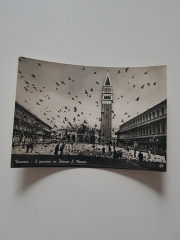 AK Venezia - I piccioni in Piazza S. Marco.