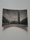 AK Venezia - Piazza S. Marco.