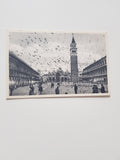 AK Venezia. Piazza S. Marco - Piccionata.
