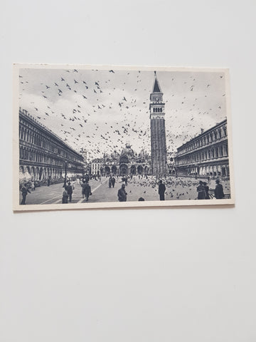 AK Venezia. Piazza S. Marco - Piccionata.