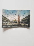 AK Venezia. I Piccioni in Piazza S. Marco.