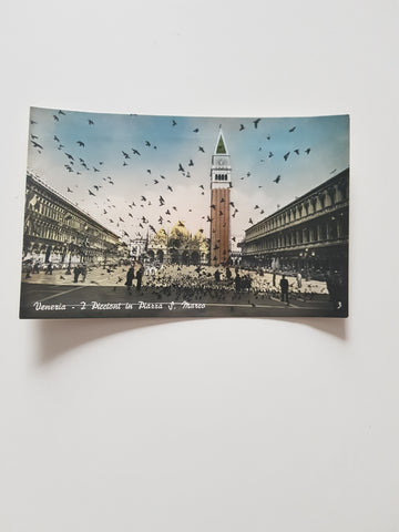AK Venezia. I Piccioni in Piazza S. Marco.