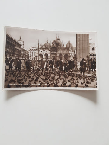 AK Venezia - Piazza S. Marco I Piccioni.