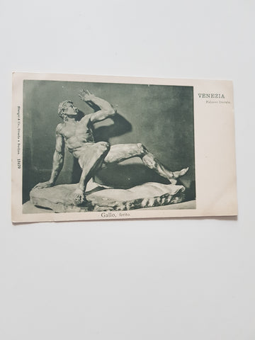 AK Venezia. Palazzo Ducale. Gallo, ferito.